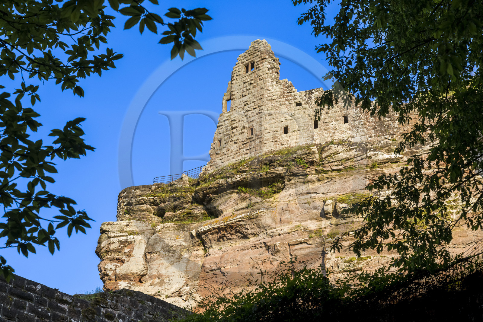 France, Bas-Rhin (67), Parc naturel régional des Vosges du Nord, Lembach, ruines du chateau de Fleckenstein