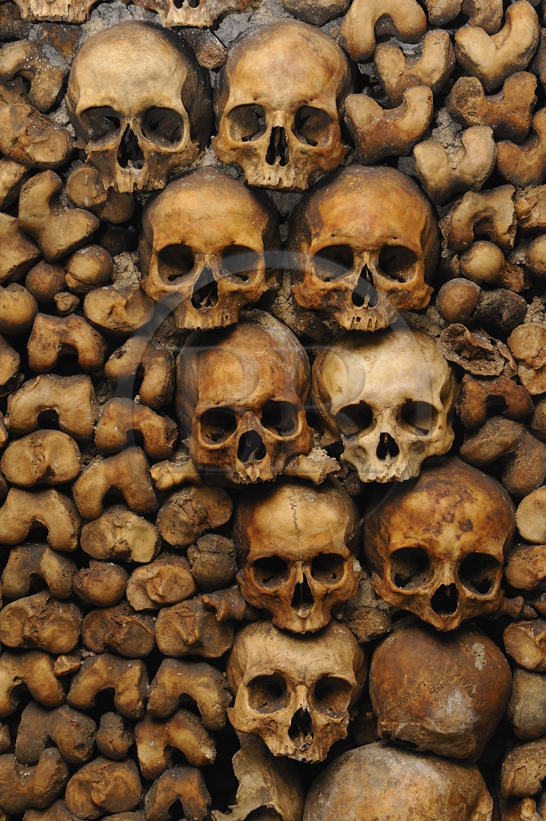 France, Paris (75), les catacombes, ossements