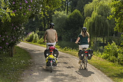 France, Deux-Sèvres (79), le Marais Poitevin, la Venise Verte, Magné, randonnée à bicyclette le long de la Sèvre Niortaise sur la voie cyclable de la Vélo Francette, vélo avec une remorque transportant le matériel de camping
