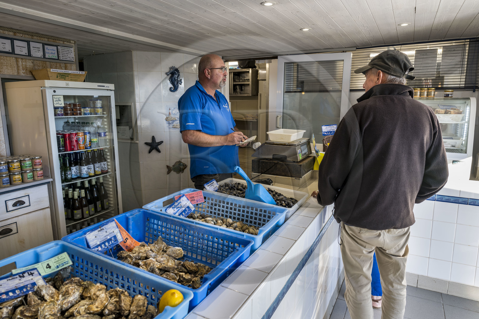 France, Vendée (85), Ile de Noirmoutier, La Guérinière, le port ostréicole du Bonhomme, ostréiculteur la Godaille