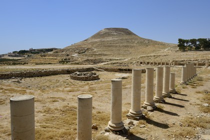 Israel, Cisjordanie, l'Hérodion, colline artificiellement exhaussée qui abrite les ruines d'un palais fortifié construit par le roi Hérode Ier le Grand (site classé Parc National), vestiges du palais de l'Hérodion inférieur et de son bassin