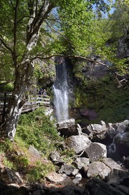France, Cantal (15), Parc Naturel Régional des Volcans d’Auvergne, vallée de Brezons, hameau de Sanissage, la cascade du Saut de la Truite