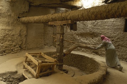 Egypte, Haute Egypte, désert libyque, oasis de Dakhla, vieux village de Al-Qasr