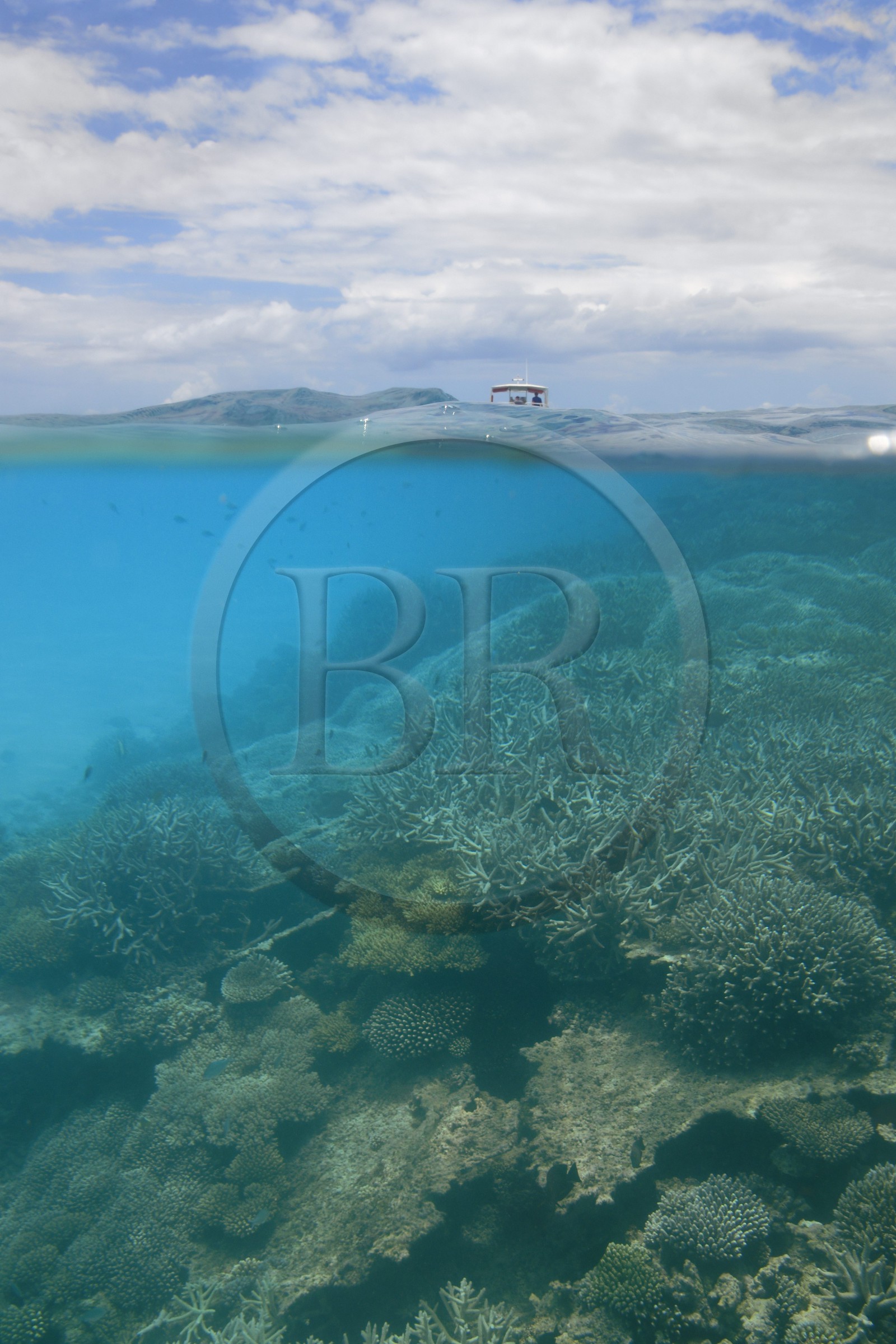 France, Ile de Mayotte, Grande-Terre, récif de corail dans la lagune face à la pointe Saziley  sur la cote Est