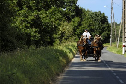 France, Indre et Loire (37), Vallée de la Loire classée Patrimoine Mondial de l' UNESCO, Bréhémont