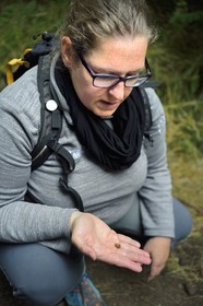 France, Puy-de-Dôme (63), Aydat, vers l'étang du Chateau de Montlosier, Catline Lajoie garde nature au Parc naturel régional des Volcans d'Auvergne