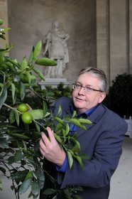 France, Yvelines (78), château de Versailles, classé Patrimoine Mondial de l'UNESCO, l'Orangerie en hiver de Jules Hardouin-Mansart, le jardinier en chef du Petit Parc Joël Cottin