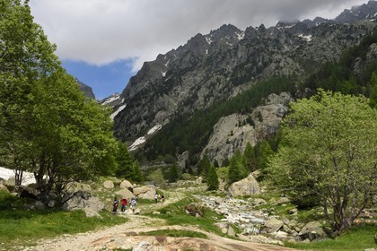 France, Alpes-Maritimes (06), parc national du Mercantour, Haute-Vésubie, randonnée dans le vallon de la Gordolasque