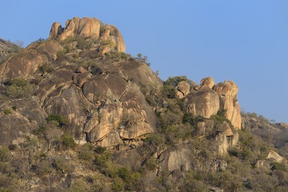 Zimbabwe, province de Matabeleland méridional, Matobo ou Matopos Hills National Park, classé Patrimoine Mondial de l'UNESCO, les collines rocheuses