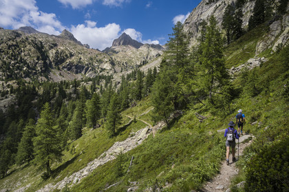France, Alpes-Maritimes (06), parc national du Mercantour, Haute-Vésubie, Saint-Martin-Vésubie, Val du Haut Boréon, randonneurs en marche pour le refuge de Cougourde, le Mont Pelago à gauche et la Cime Guilié (2999m) à droite en arrière-plan