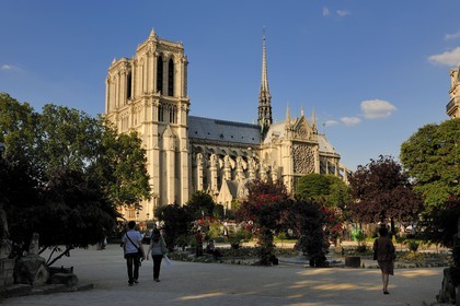 France, Paris (75), île de la Cité, la cathédrale Notre-Dame depuis le square René Viviani