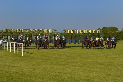 Irlande, Co. Meath, hippodrome de Fairyhouse, départ de la course
