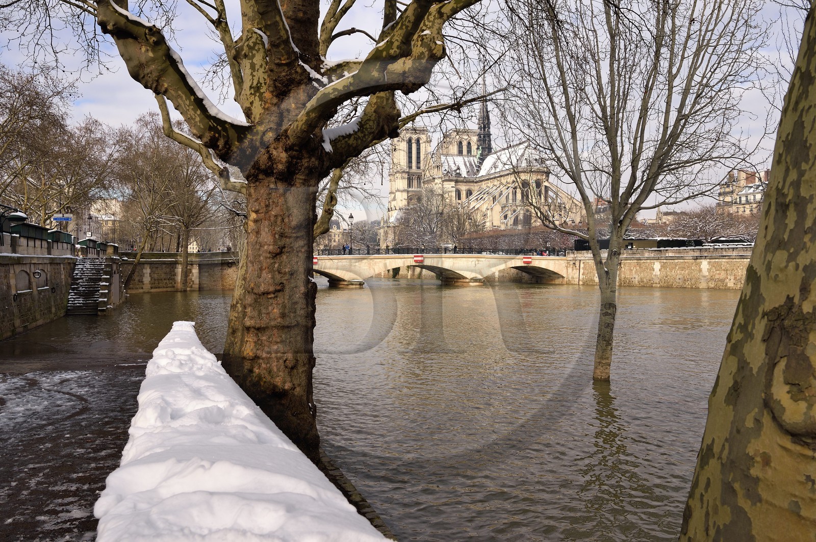 France, Paris (75), les rives de la Seine, classées Patrimoine Mondial de l'UNESCO, la Seine en crue quai de la Tournelle et la Cathédrale Notre-Dame sous la neige sur l'Ile de la Cité