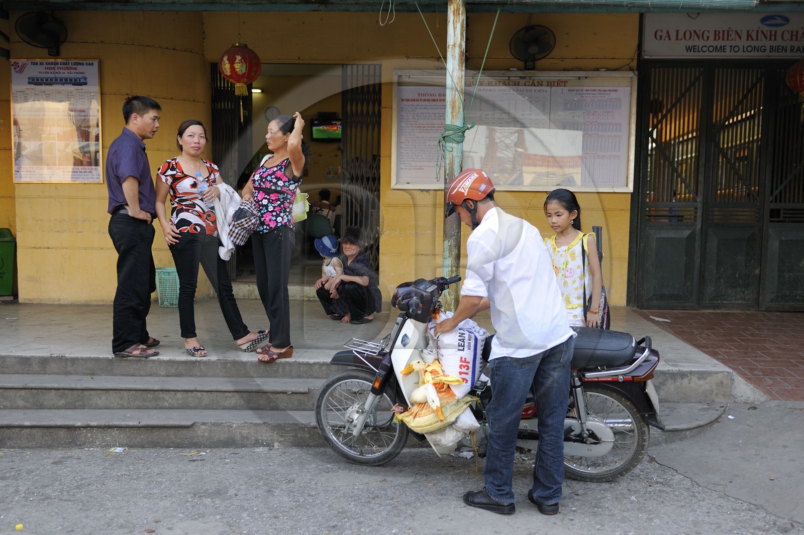Vietnam, Hanoï, gare de Long Bien, transpor de canards