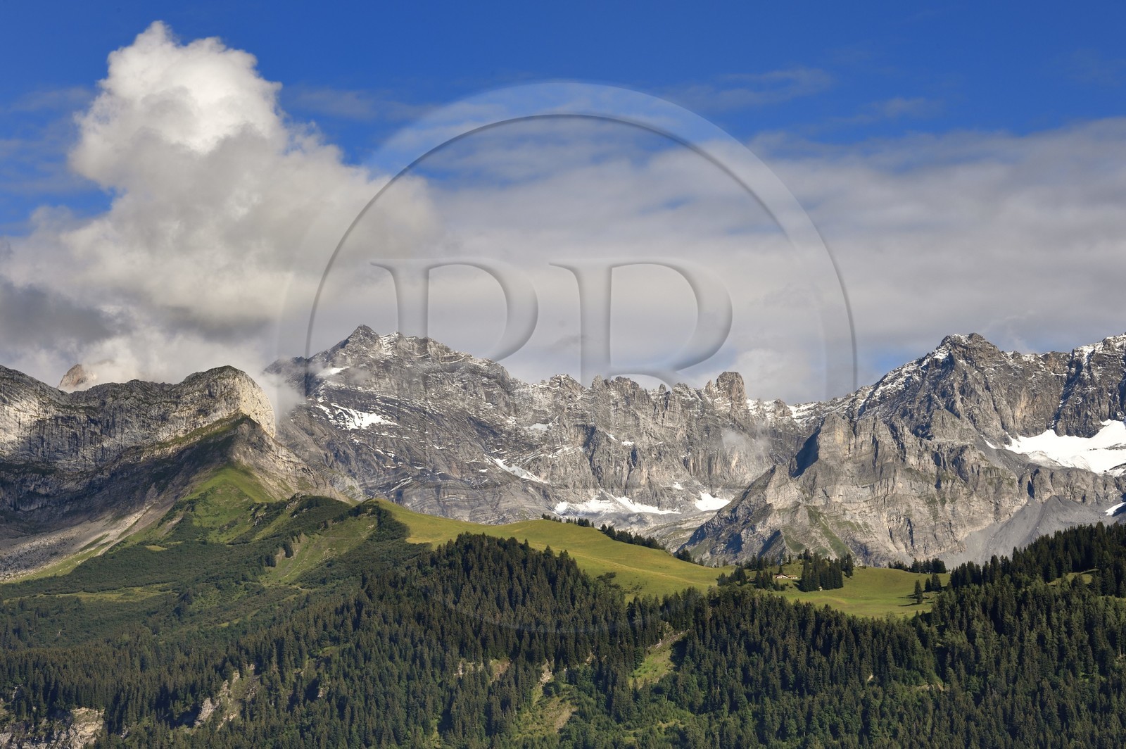 Suisse, canton de Vaud, Villars-sur-Ollon, panorama sur le massif de l'Argentine surplombant Solalex