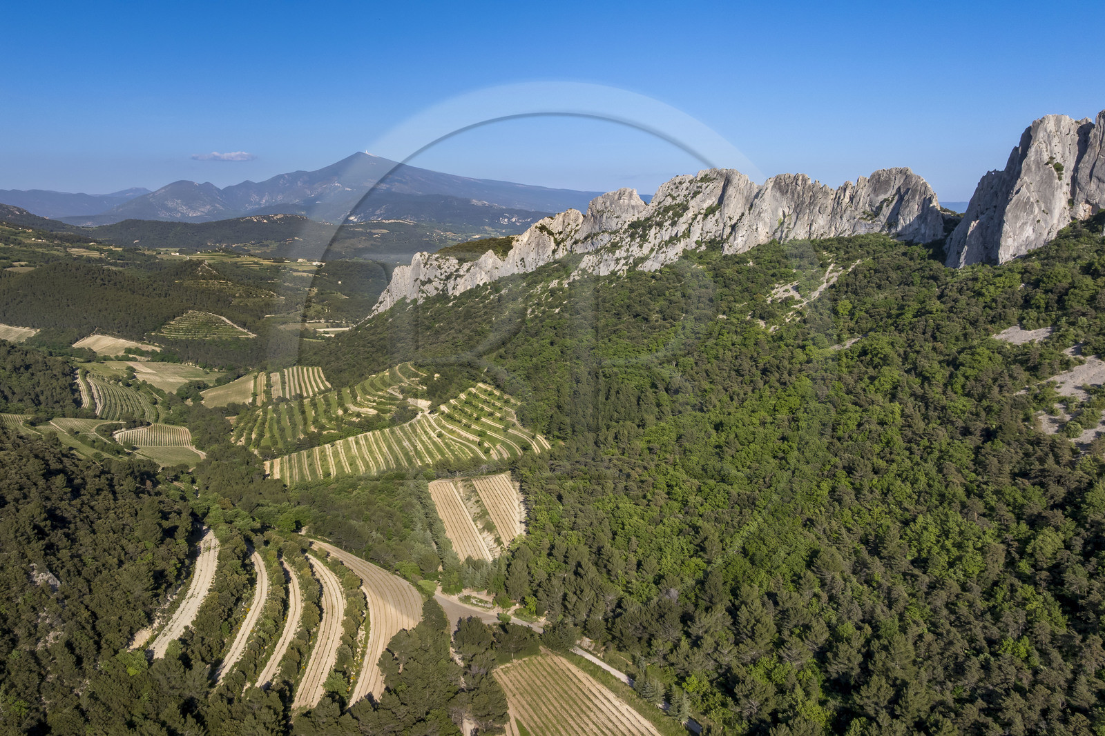 France, Vaucluse (84), Dentelles de Montmirail, Gigondas, la montagne des Dentelles Sarrasines et les vignobles en restanques au col du Cayron, le Mont Ventoux en arrière plan (vue aérienne)