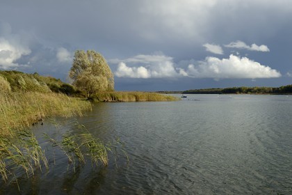France, Meuse (55), Parc régional de Lorraine, Cotes de Meuse, Heudicourt-sous-les-Côtes, pêcheurs sur le lac de la Madine