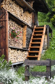 Suisse, Canton de Berne, Oberland Bernois, village de Mürren, stères de bois et fleurs