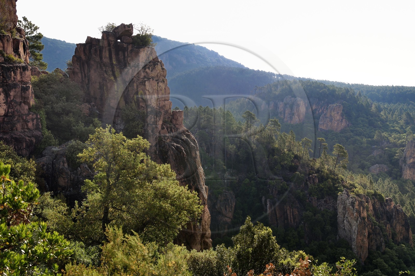 France, Var (83), entre Bagnols-en-Forêt et Roquebrune-sur-Argens, les Gorges du Blavet
