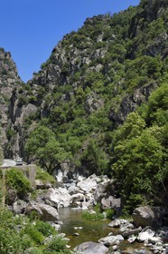 France, Alpes-Maritimes (06), vallée de la Roya, les gorges de Paganin entre Saorge et Tende, la rivière de La Roya