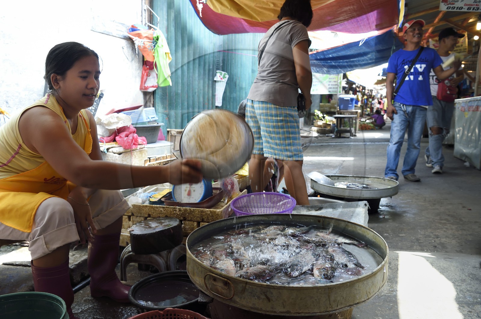 Philippines, province de Tarlac, Victoria, le marché, vente de poissons vivants