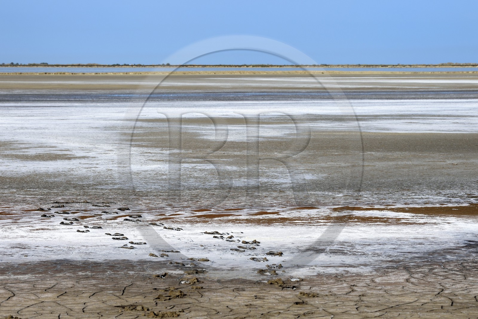France, Bouches-du-Rhône (13), Parc naturel régional de Camargue, dépot de sel dans le bassin du Fangassier