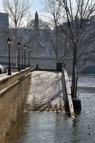 France, Paris (75), les rives de la Seine, classées Patrimoine Mondial de l'UNESCO, les bords de la Seine en crue sur l'Ile Saint-Louis sous la neige, le pont de la Tournelle en arrière plan