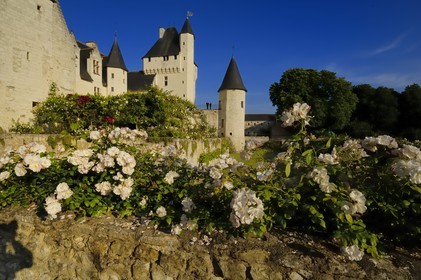 France, Indre et Loire (37), château du Rivau