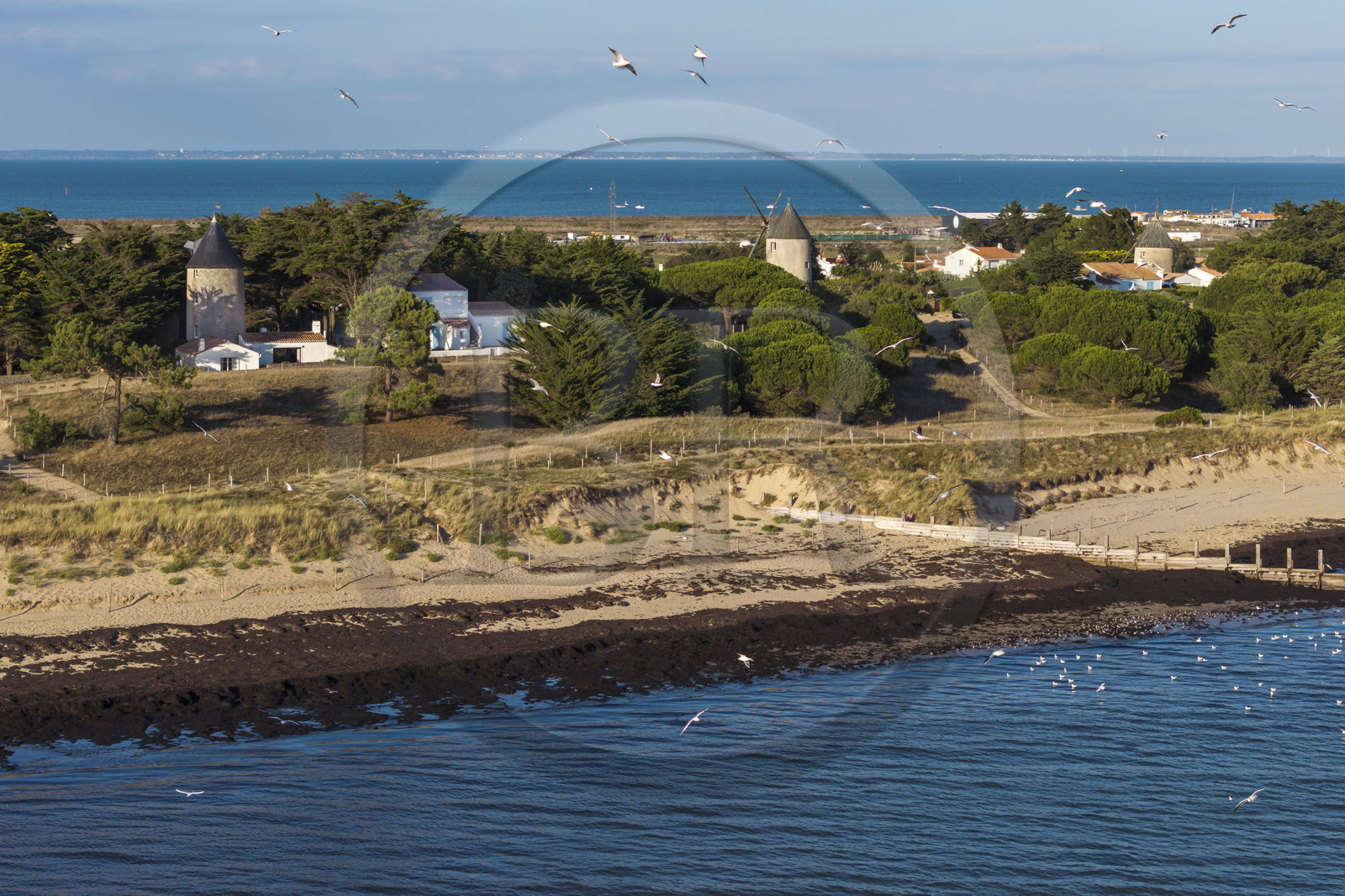 France, Vendée (85), Ile de Noirmoutier, La Guérinière, plage de la court et les moulins de la Court (vue aérienne)
