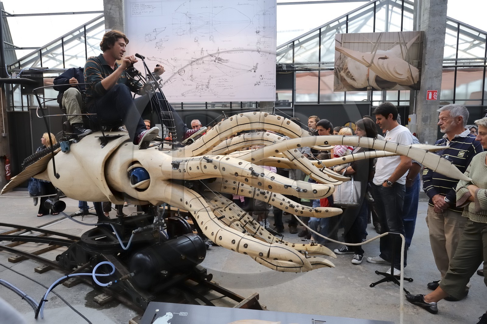 France, Loire-Atlantique (44), Nantes, l'Ile de Nantes, les hangars des anciens chantiers navals, les Machines de l'Ile, la pieuvre, automate