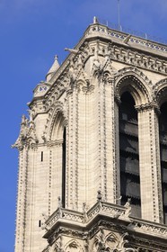 France, Paris (75), Ile de la Cité, cathédrale Notre-Dame de Paris, gargouilles de la tour sud