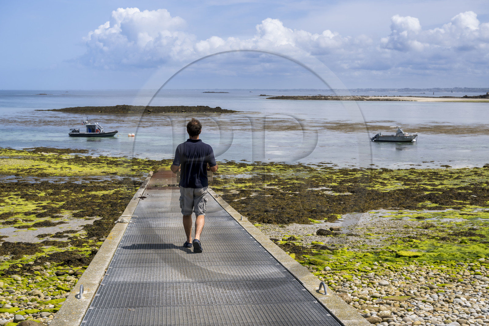 France, Finistère (29), Mer d'Iroise, archipel de Molène, Ile de Quéménès, ferme de Quéménès bio et autonome en énergie, l'agriculteur Etienne Menguy