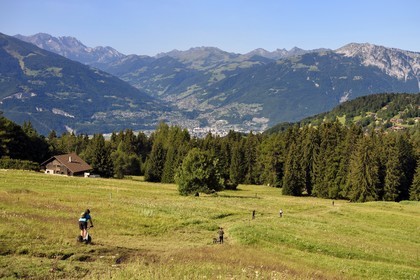Suisse, canton de Vaud, Villars-sur-Ollon, descente des pentes en trottinette tout terrain (Trottin’Herbe)