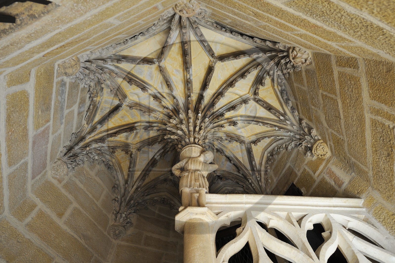 France, Côte d'Or (21), Dijon, Hôtel Chambellan rue des Forges, l'escalier à vis gothique flamboyant