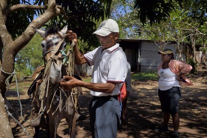 Nicaragua, Ile d'Ometepe sur le lac Nicaragua, le fermier Saoul Corea prépare son cheval