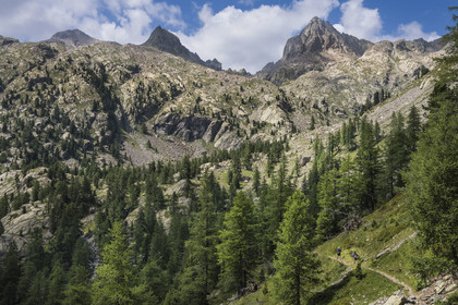France, Alpes-Maritimes (06), parc national du Mercantour, Haute-Vésubie, Saint-Martin-Vésubie, Val du Haut Boréon, randonneurs en marche pour le refuge de Cougourde, le Mont Pelago à gauche et la Cime Guilié (2999m) à droite en arrière-plan