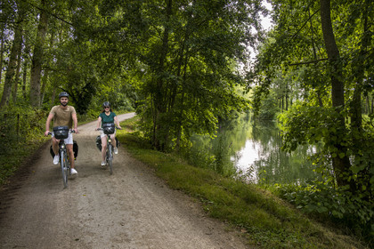 France, Deux-Sèvres (79), le Marais Poitevin, la Venise Verte, Magné, randonnée à bicyclette le long de la Sèvre Niortaise