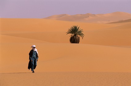 Libye, région du désert, Le Fezzan (Sahara), oasis au milieu des dunes
