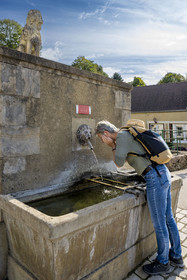 France, Yonne (89), vallée de la rivière Cousin, Pontaubert, la fontaine au lion