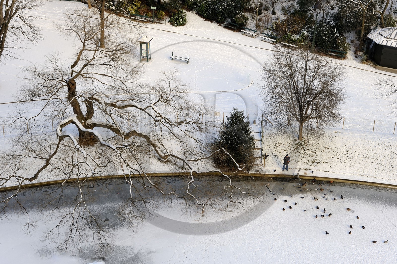 France, Paris (75), parc des Buttes Chaumont sous la neige