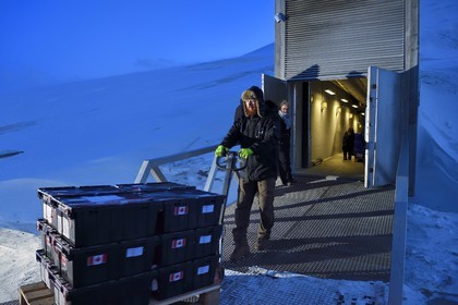 Norvège, Svalbard, Spitzberg, Longyearbyen, la Réserve mondiale de semences du Svalbard (banque de graines du Global Seed Vault) permet une sauvegarde de sécurité pour les collections existantes de banques de gènes, livraison des semences par NordGen