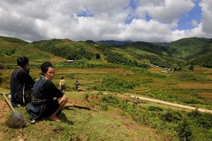Vietnam, province de Lao Cai, région de Sapa, vallée de Ta Phin, la minorité Hmong Noir