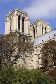 France, Paris (75), Ile de la Cité, cathédrale Notre-Dame de Paris
