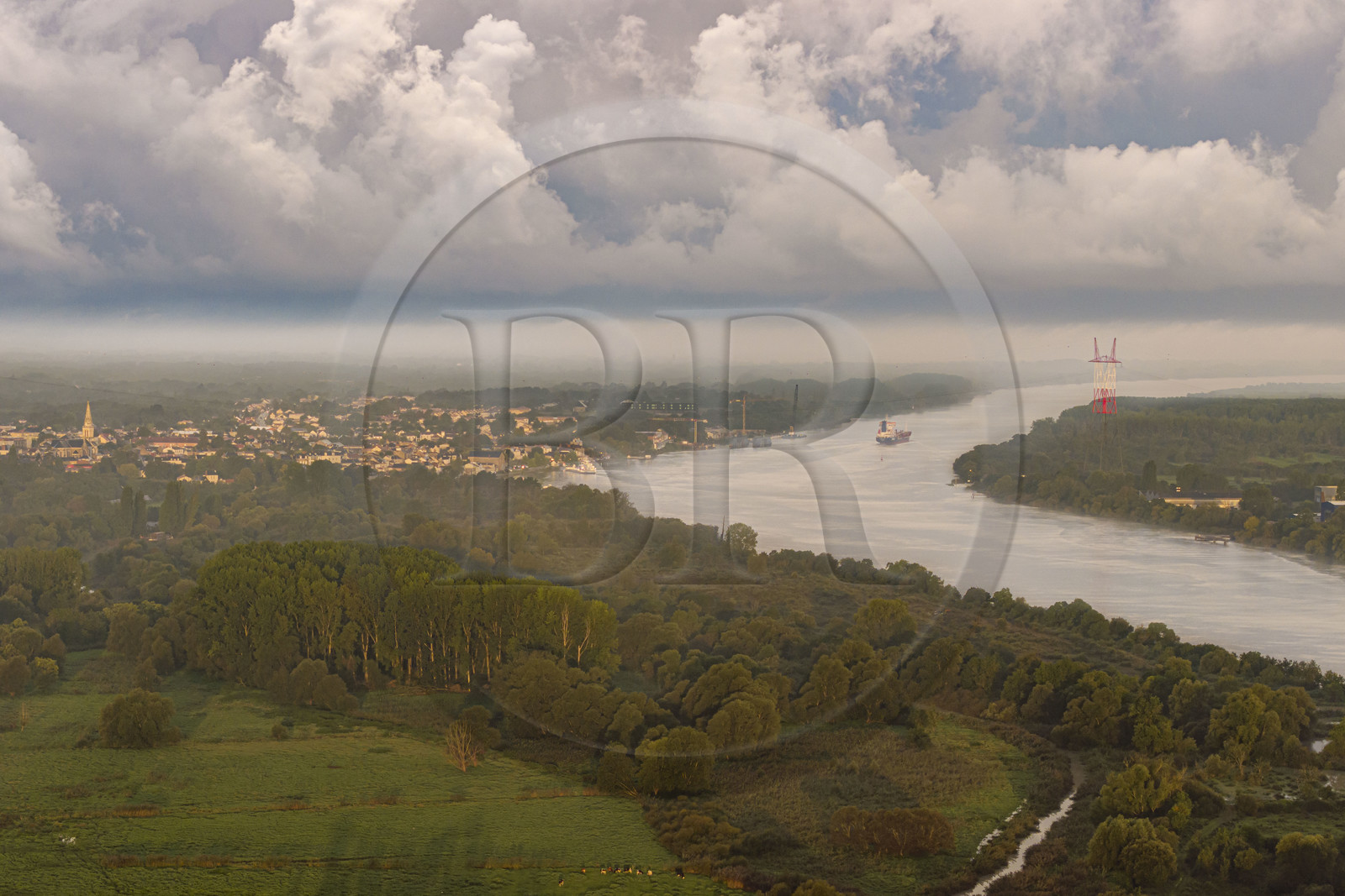 France, Loire-Atlantique (44), Le Pellerin, cargo descendant la Loire vers l'estuaire (vue aérienne)
