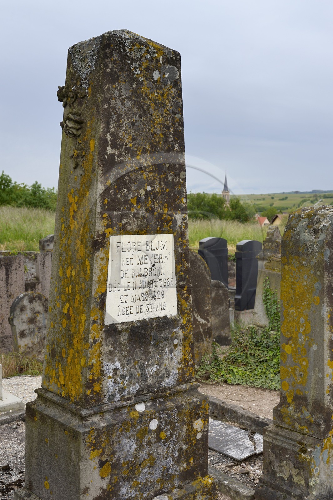 France, Bas-Rhin (67), Westhoffen d'où furent originaires les ancètres de Léon Blum ou encore de Michel Debré, le cimetière juif