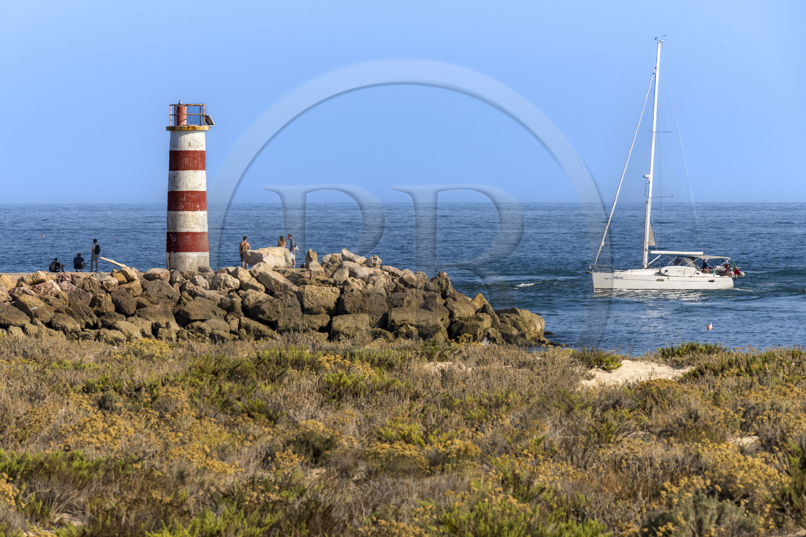 Portugal, Algarve, Parc naturel de la Ria Formosa, Faro, Ile de Barreta ou Deserta (Ilha da Barretta ou Deserta)