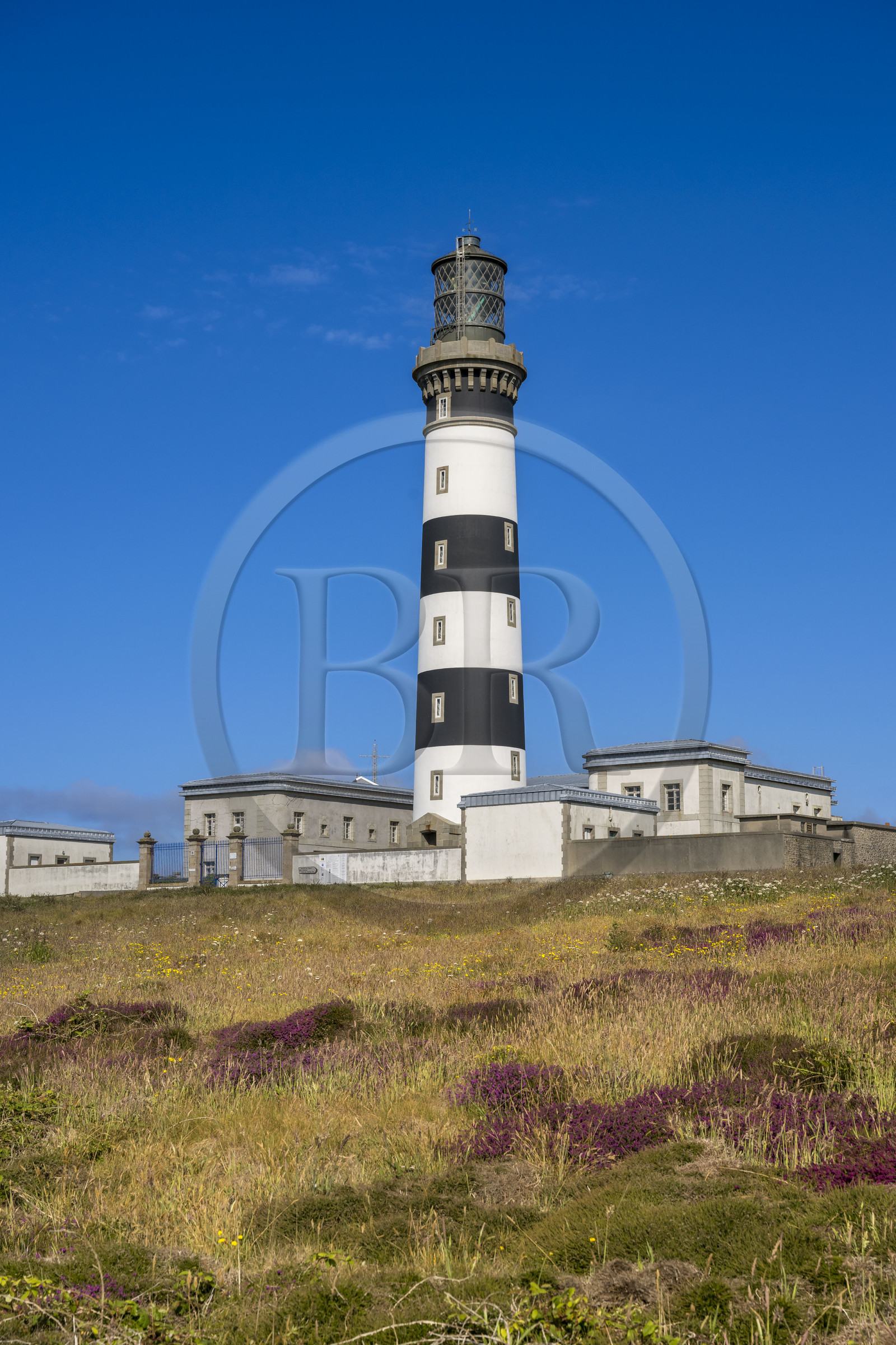 France, Finistère (29), Mer d'Iroise, Ile d'Ouessant, le phare du Créac’h et la lande