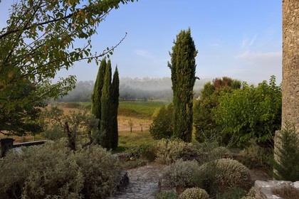 France, Var (83), Provence Verte, Bras, vers Saint-Maximin-la-Sainte-Baume, la maison d'hotes Le Peyrourier - une campagne en Provence