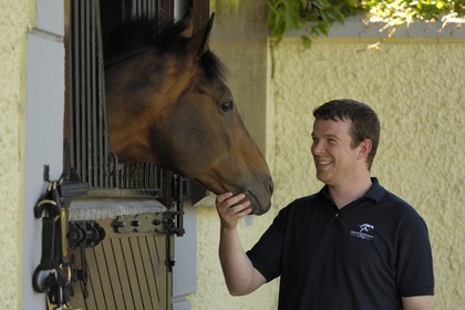 Irlande, Co. Kildare, Maynooth, harras de Derrinstown (Stud)