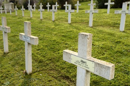 France, Meuse (55), Parc régional de Lorraine, Cotes de Meuse, Saint-Remy-la-Calonne, Nécropole nationale où repose l'écrivain Alain-Fournier, tombe d'un soldat inconnu